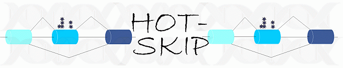 hot-skip banner